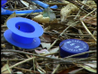 Blue Bits