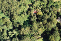 The Wild Garden