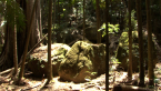 Volcanic Rocks