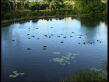 Winery Lake
