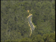 Canungra-Nerang Road