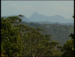 Mount Warning