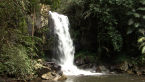 Curtis Falls