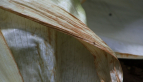 Palm Husk