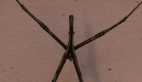 Net-casting Spider