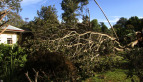Storm Damage