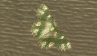 Geometrid Moth