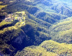 Guanaba Gorge