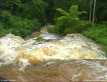 Torrent, Cedar Creek