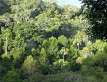 Palm Grove National Park