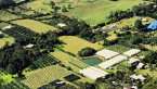 Flower Farm, Lahey Road