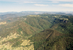 Aerial 2001
