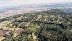 Forest Park Estate