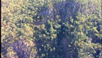 Cedar Creek Gorge