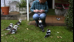 Feeding Time