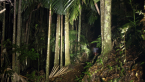 Palm Grove National Park