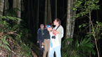 Rainforest at night