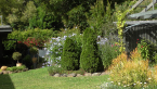 Robyn's Garden