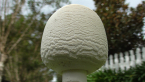 Long Stemmed Parasol