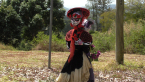 Scarecrow Festival 2017