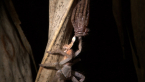 Spider and Exoskeleton
