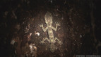Leaf-tailed Gecko