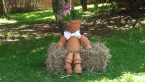 Scarecrow