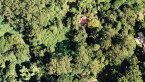 The Wild Garden