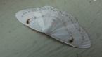 Geometrid Moth