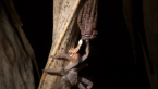 Spider and Exoskeleton