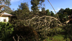 Storm Damage