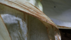 Palm Husk