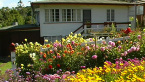 Cottage Garden
