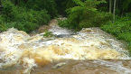Torrent, Cedar Creek