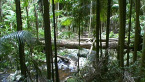 Joalah National Park