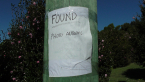 Puzzling Lost Property