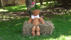 Scarecrow