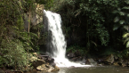 Curtis Falls