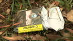 Plain Packaging