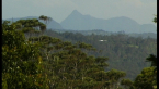 Mount Warning