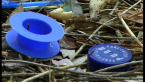 Blue Bits