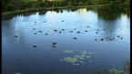 Winery Lake