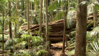Blocked Path