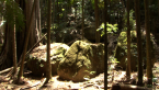 Volcanic Rocks