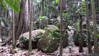 Volcanic Rocks