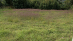 Unmown Plot Sequence