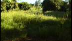 Baker Property