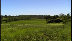 Ainsworth Property