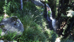 Witches Falls Sequence
