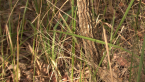 stills21_002